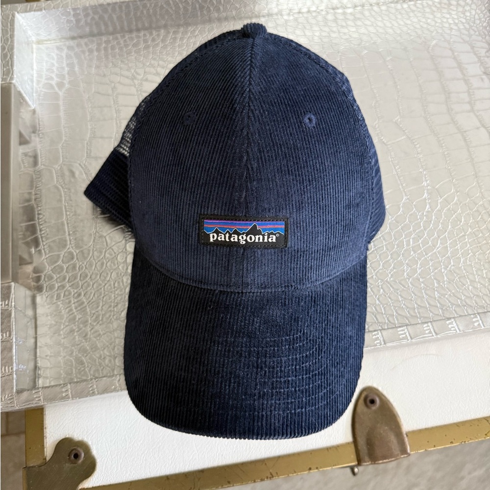 Patagonia trucker hat